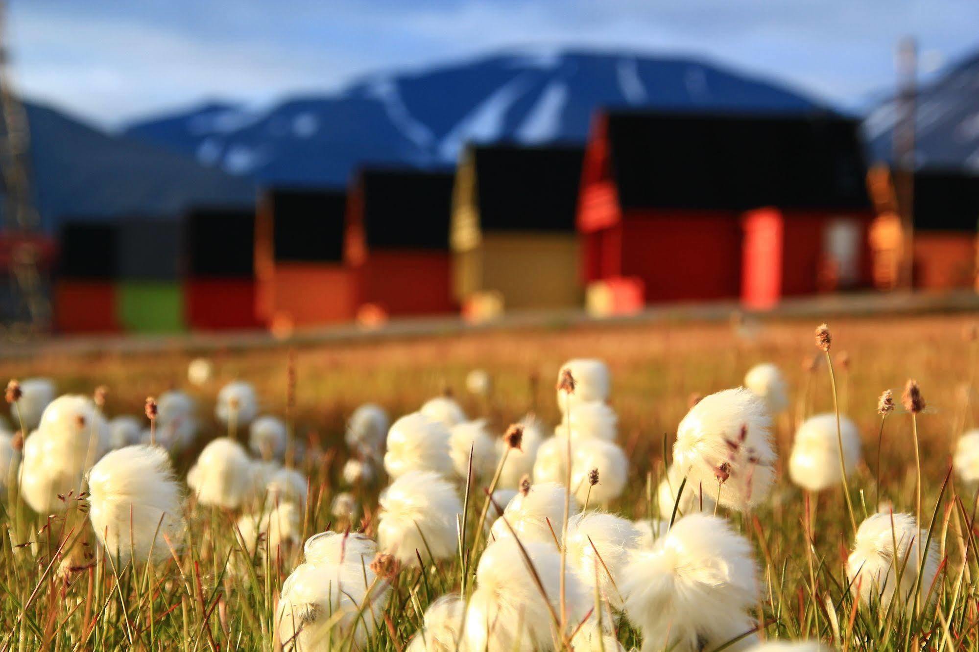 Svalbard Hotell | Polfareren Longyearbyen Esterno foto